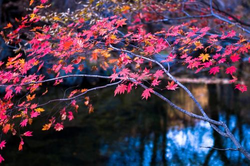 靠比软件免费下载大全首页展示